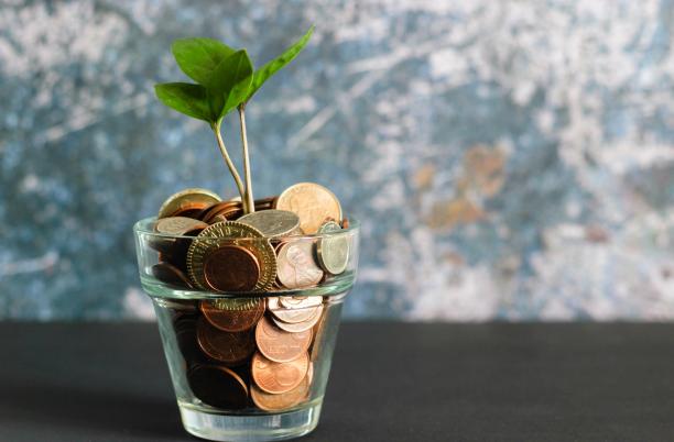 Sustainable Finance image